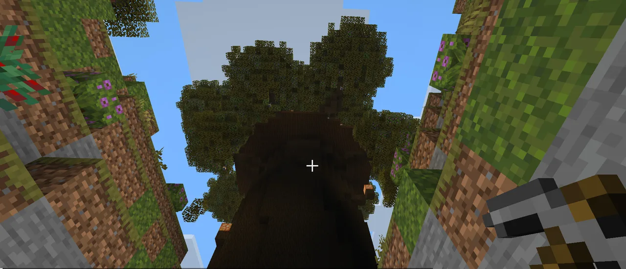 The Old Oak, seen from its roots.